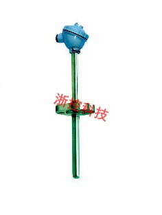 Movable flange type thermocouple