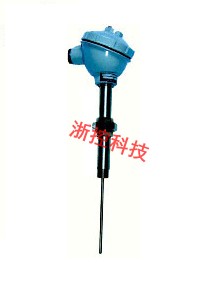 Adjustable pipe joint type thermocouple