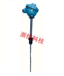 Active threaded pipe fitting thermocouple