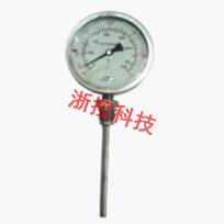 Shock proof thermometer