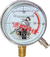 Seismic electric contact pressure gauge