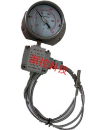 Explosion proof thermometer